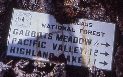 gabbots meadow